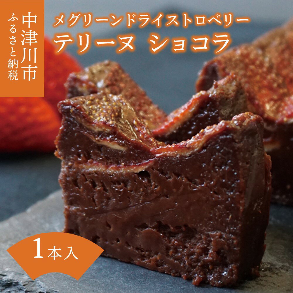 メグリーン ドライストロベリー テリーヌ ショコラ 人気 スイーツ 菓子 ギフト F4N-1600