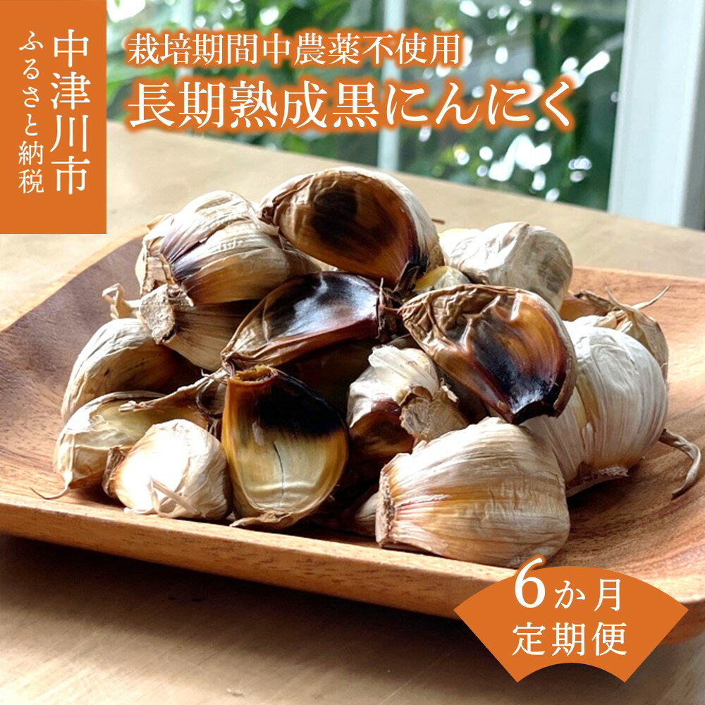 【6ヶ月定期便】長期低温熟成 黒にんにく バラ 300g × 6回 岐阜県 中津川産 ニンニク 使用 農薬不使用 お取り寄せ 送料無料 F4N-0457