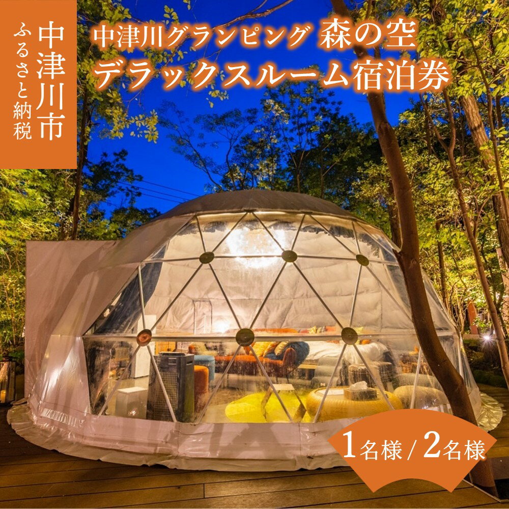 中津川 グランピング 森の空【デラックスルーム】選べる 1名様 / 2名様 宿泊券 6Mドームテント 2階建 ドーム型 テント アウトドア キャンプ バーベキュー BBQ 旅行券 チケット 岐阜県 中津川市 F4N-0474var