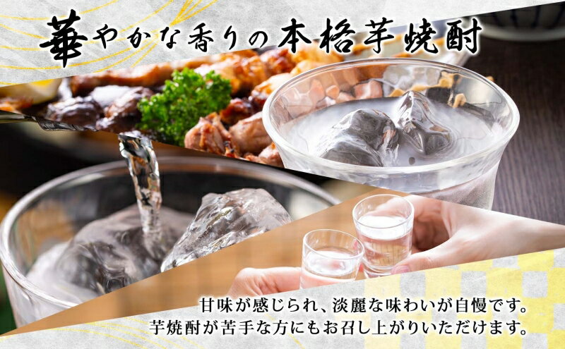 【ふるさと納税】本格 芋焼酎 えっきょう 25度 720ml 瓶 2本 Ekkyo 焼酎 乙類 お酒 アルコール 飲料 さつまいも 紅はるか 芋 いも イモ G酵母 オリジナル 晩酌 家飲み プレゼント 贈り物 ギフト 父の日 お中元 お歳暮 誕生日 自家用 送料無料 紫屋 岐阜県 美濃市 サムネイル3