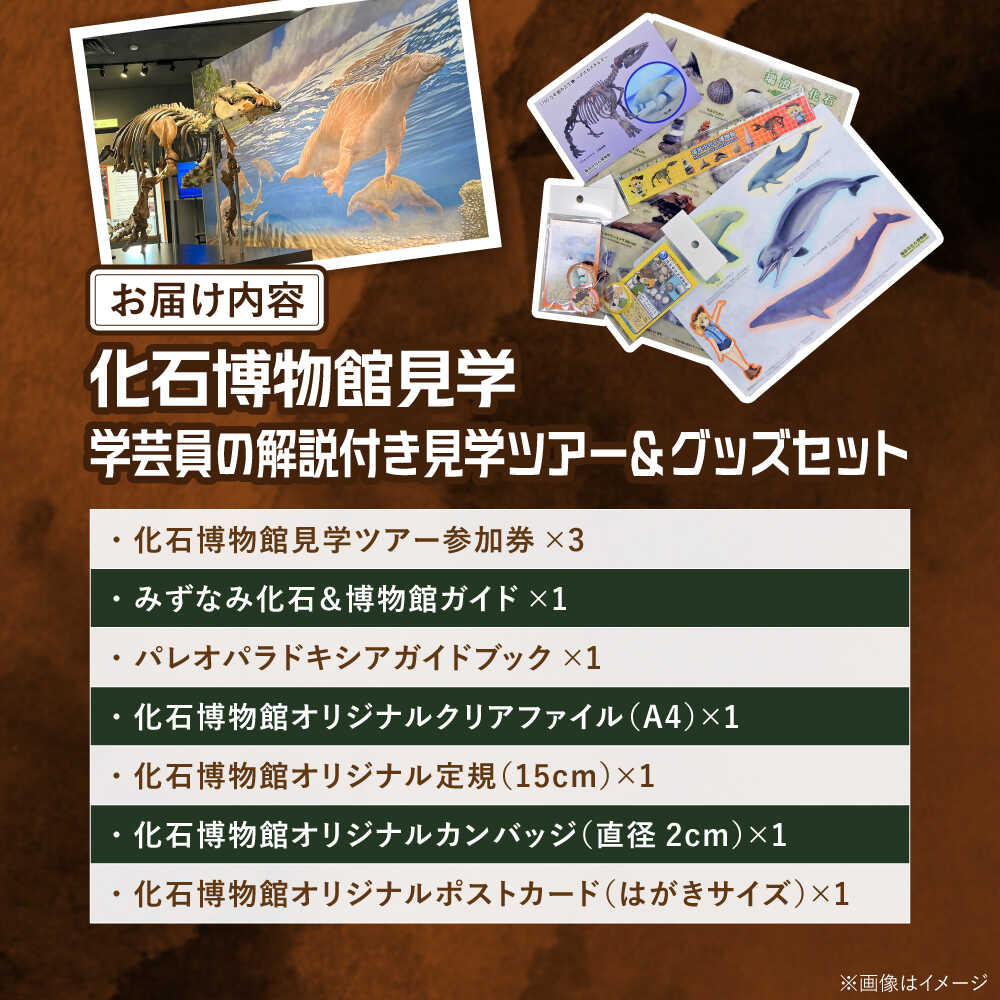 【ふるさと納税】瑞浪市化石博物館 パレオパラドキシアコーナー 学芸員の解説付き見学ツアー(3名様) ＆ グッズセット 瑞浪市[AZCJ003] - 画像2