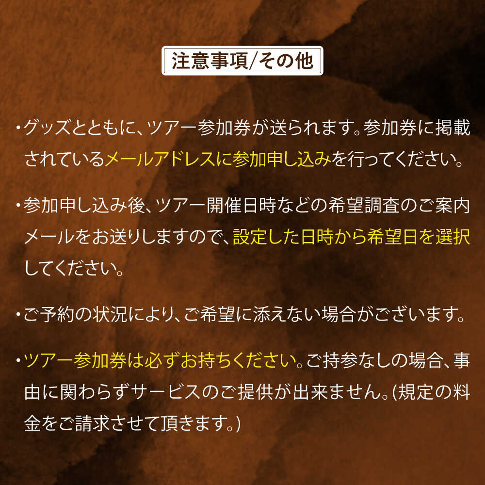 【ふるさと納税】瑞浪市化石博物館 パレオパラドキシアコーナー 学芸員の解説付き見学ツアー(3名様) ＆ グッズセット 瑞浪市[AZCJ003] - 画像3