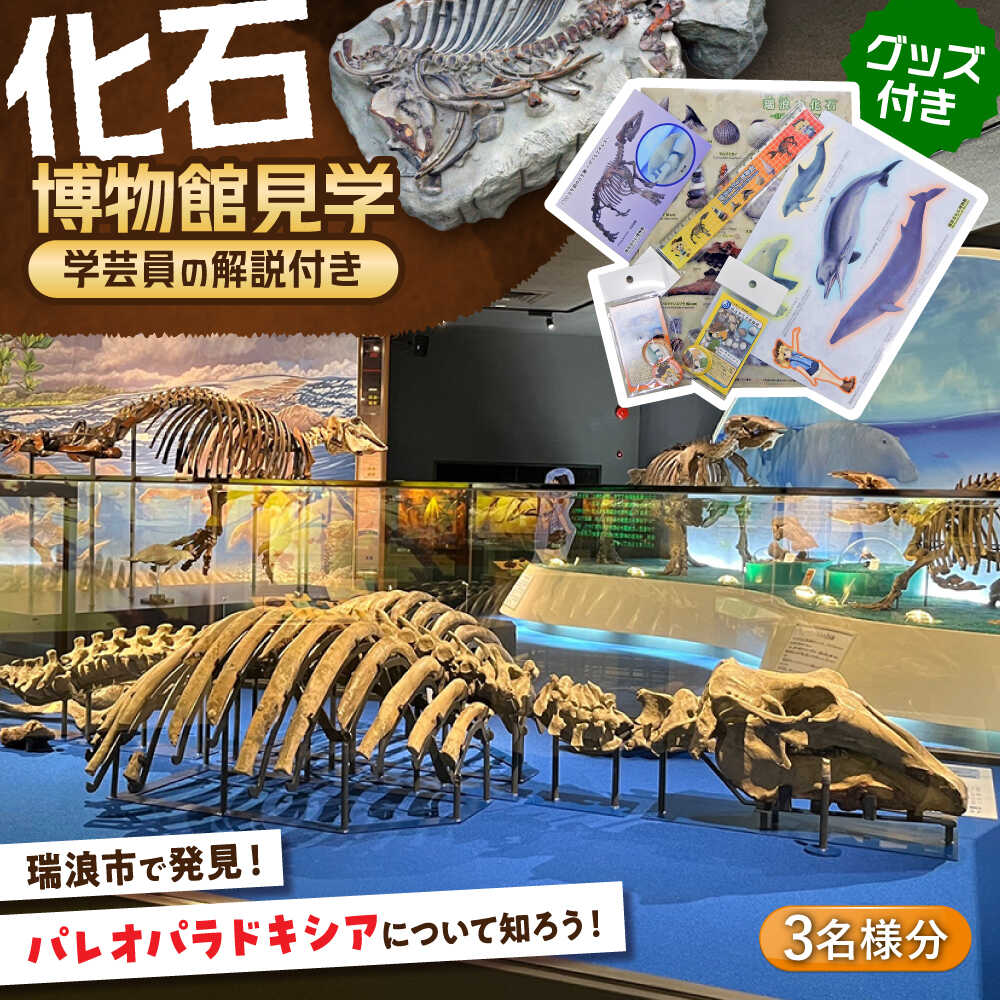 瑞浪市化石博物館 パレオパラドキシアコーナー 学芸員の解説付き見学ツアー(3名様) ＆ グッズセット 瑞浪市[AZCJ003]