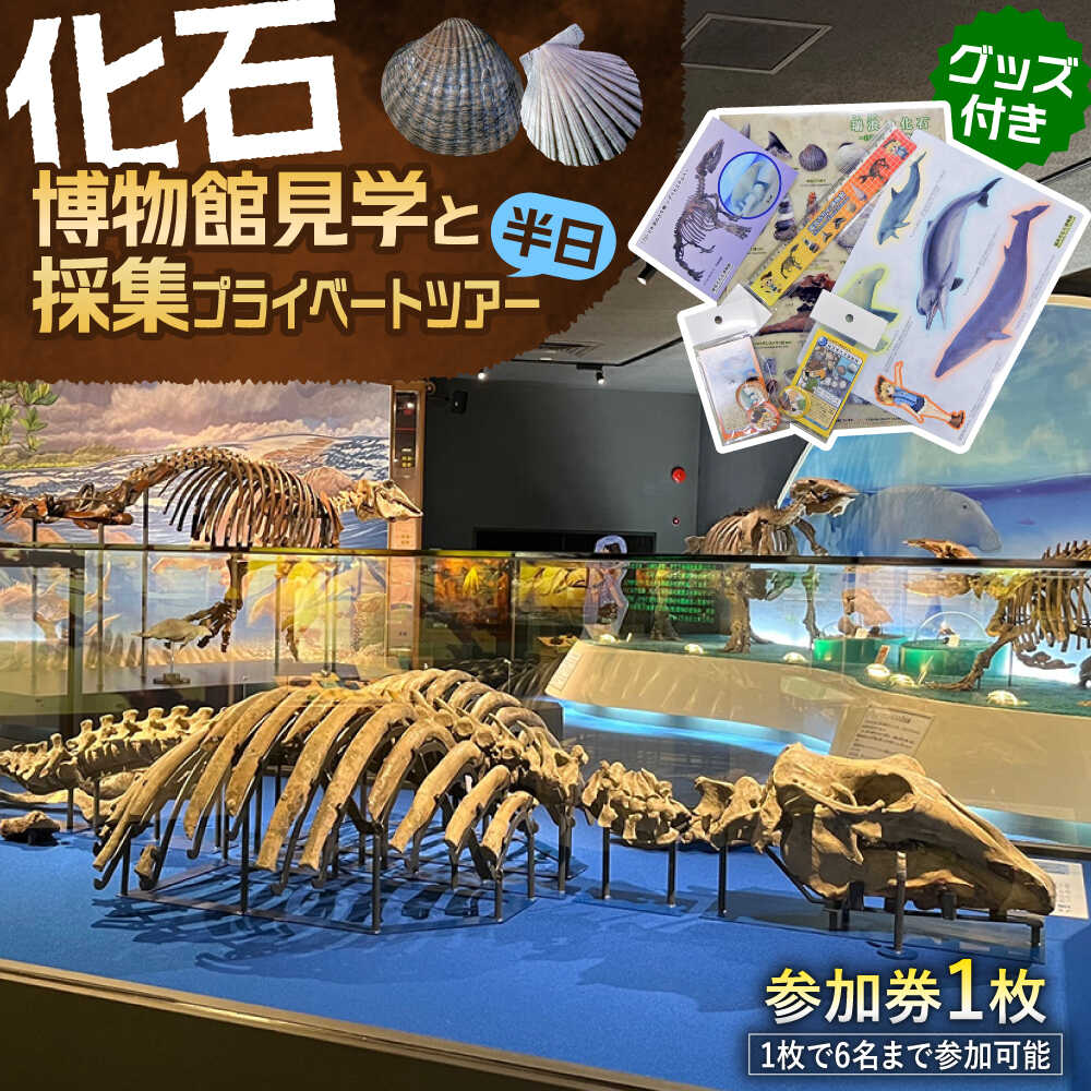 瑞浪市化石博物館 見学と化石採集プライベートツアー（半日）＆ グッズセット 瑞浪市[AZCJ005]