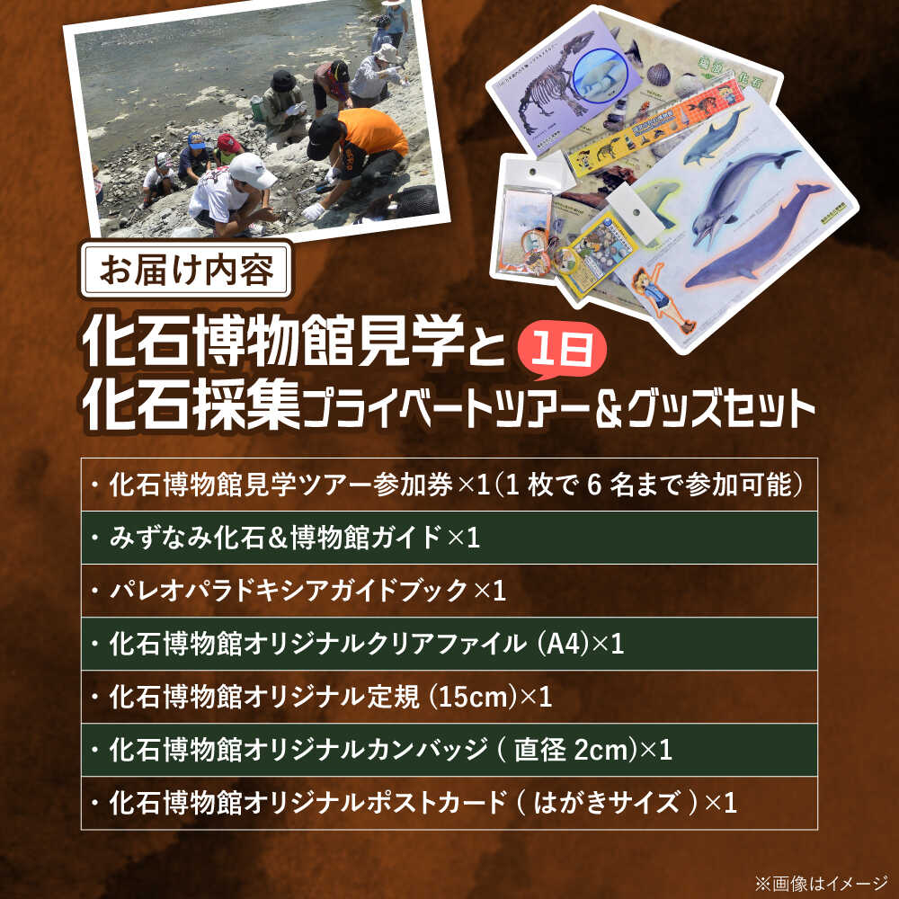 【ふるさと納税】瑞浪市化石博物館 見学と化石採集プライベートツアー（一日）＆ グッズセット 瑞浪市[AZCJ006] サムネイル2
