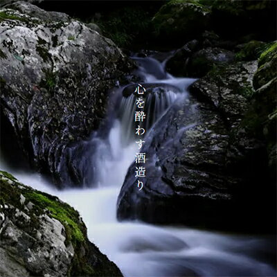 【ふるさと納税】大吟醸「光琳　紅白梅」　1.8L詰　1本【1497268】 サムネイル3