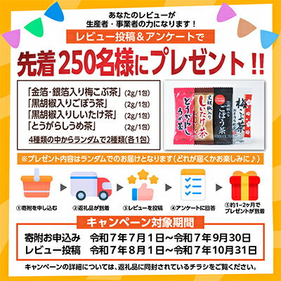 【ふるさと納税】レビューキャンペーン実施中!料理の楽園165g【1635010】 サムネイル3