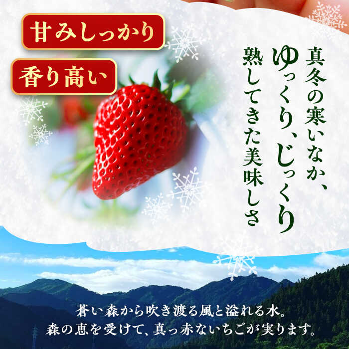 【ふるさと納税】【先行予約】【2025年12月中旬から2026年3月上旬に順次発送】石川農園 完熟大粒いちご 2パック入り(贈答用) 産地直送 イチゴ 苺 フルーツ くだもの 果物 お取り寄せ 岐阜県産 恵那市産 /恵那市/クリエイティブファーマーズ[AUAH021] サムネイル3