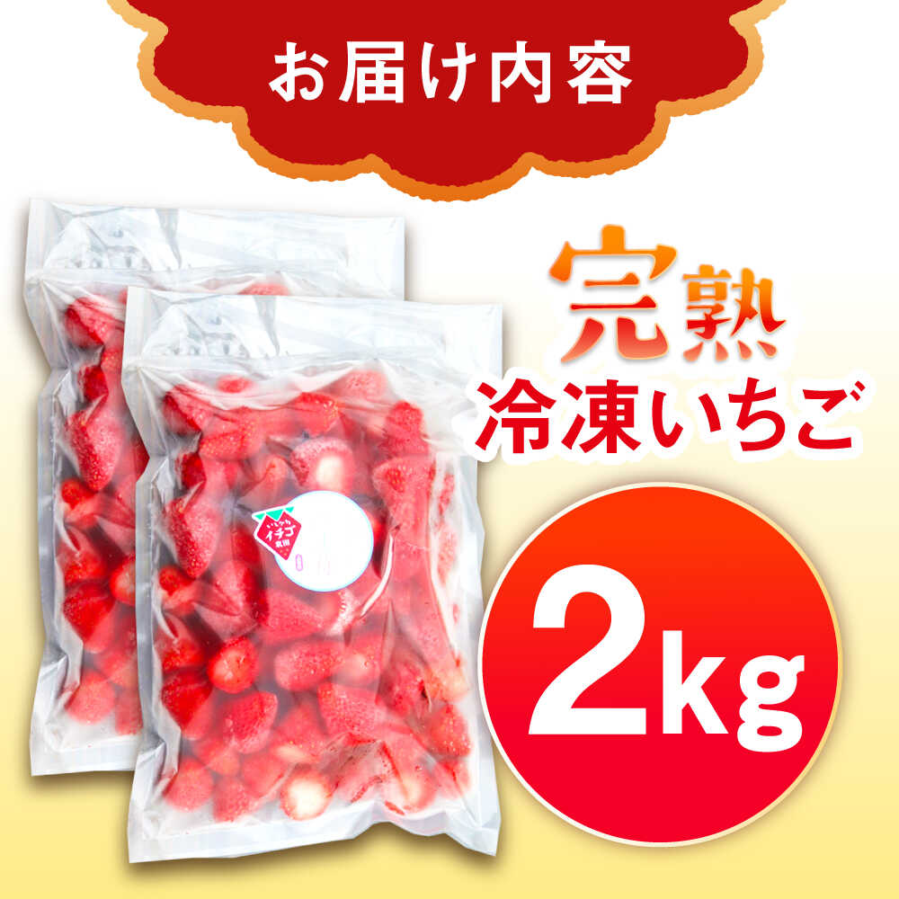 【ふるさと納税】【先行予約】【2026年1月中旬より順次発送】冷凍いちご 2kg / 苺 いちご イチゴ 冷凍 冷凍イチゴ 冷凍苺 / 恵那市 クリエイティブファーマーズ[AUAH024] サムネイル2