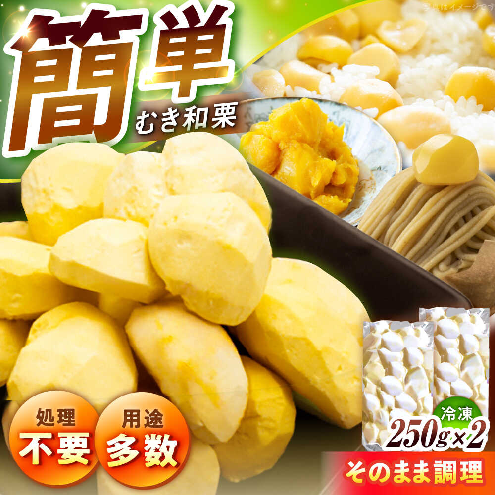 冷凍むき栗「日本栗」 計500g（250g×2） / 栗 冷凍 生栗 くり むき栗 剥き栗 マロン 低温熟成 日本栗 国産 岐阜県 恵那市 産地直送 お取り寄せ /恵那市/えな笠置山栗園[AUAV005]