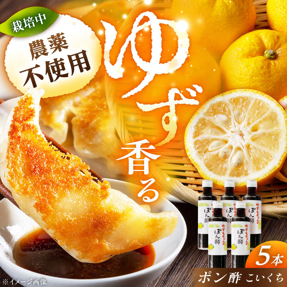 ポン酢（こいくち) 5本 / ポン酢 ポンズ ぽん酢 ぽんず たれ タレ 焼肉のたれ お取り寄せ プレゼント /恵那市/かさぎゆず組合[AUAW009]