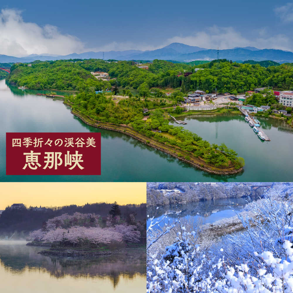 【ふるさと納税】岐阜県恵那市の対象施設で使える楽天トラベルクーポン 寄附額5,000円 [AUFW001] サムネイル3