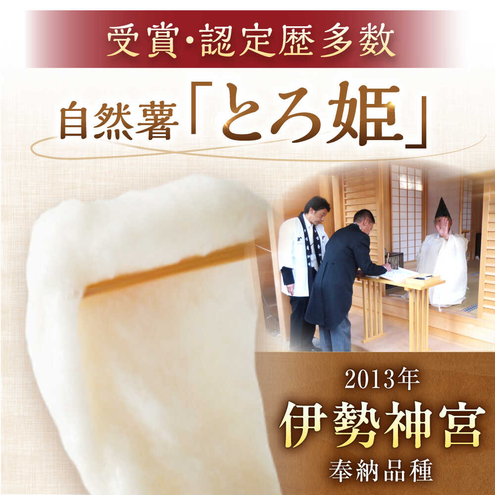 【ふるさと納税】【選べる容量】自然薯冷凍とろろ 1パック〜3パック（1パック30g×6回分） / 自然 薯 冷凍 とろろ 保存 簡単 健康 レシピ 栄養 効果アレンジ お取り寄せ 自然薯 とろろ 山芋 やまいも 冷凍 小分け ごはん ご飯 /恵那市/水戸屋[AUFZ001] - 画像3