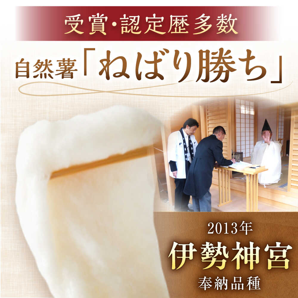 【ふるさと納税】【伊勢神宮外宮奉納】 自然薯『ねばり勝ち』 1本入 / 自然薯 じねんじょ とろろ 山芋 やまいも 簡単 健康 レシピ 栄養 効果アレンジ お取り寄せ 自然薯 とろろ 山芋 やまいも ごはん ご飯 岐阜県産 恵那市産 産地直送 /恵那市/水戸屋[AUFZ007] - 画像2