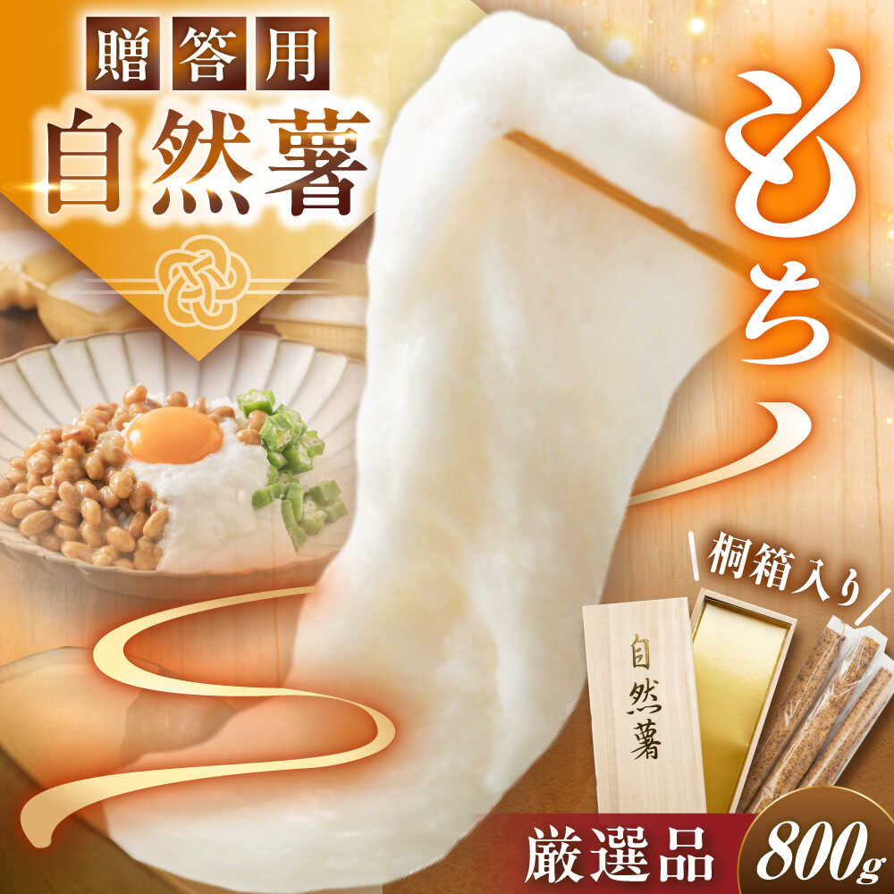 【贈答用】高級自然薯 桐箱入（800g） / 自然薯 じねんじょ とろろ 山芋 やまいも 簡単 健康 レシピ 栄養 効果アレンジ お取り寄せ 自然薯 とろろ 山芋 やまいも ごはん ご飯 岐阜県産 恵那市産 産地直送 /恵那市/水戸屋[AUFZ008]