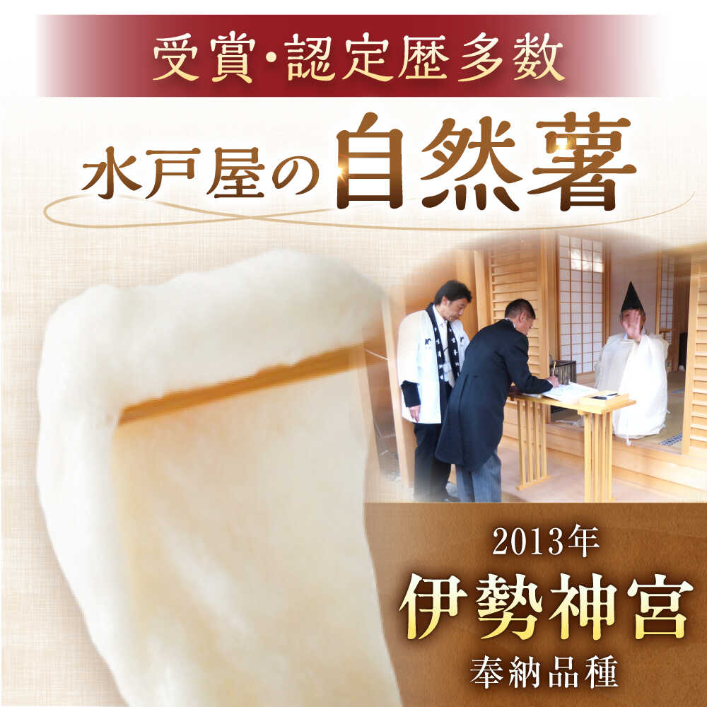 【ふるさと納税】【定番人気】自然薯 中（800g） / 自然薯 じねんじょ とろろ 山芋 やまいも 簡単 健康 レシピ 栄養 効果アレンジ お取り寄せ 自然薯 とろろ 山芋 やまいも ごはん ご飯 岐阜県産 恵那市産 産地直送 /恵那市/水戸屋[AUFZ009] - 画像2
