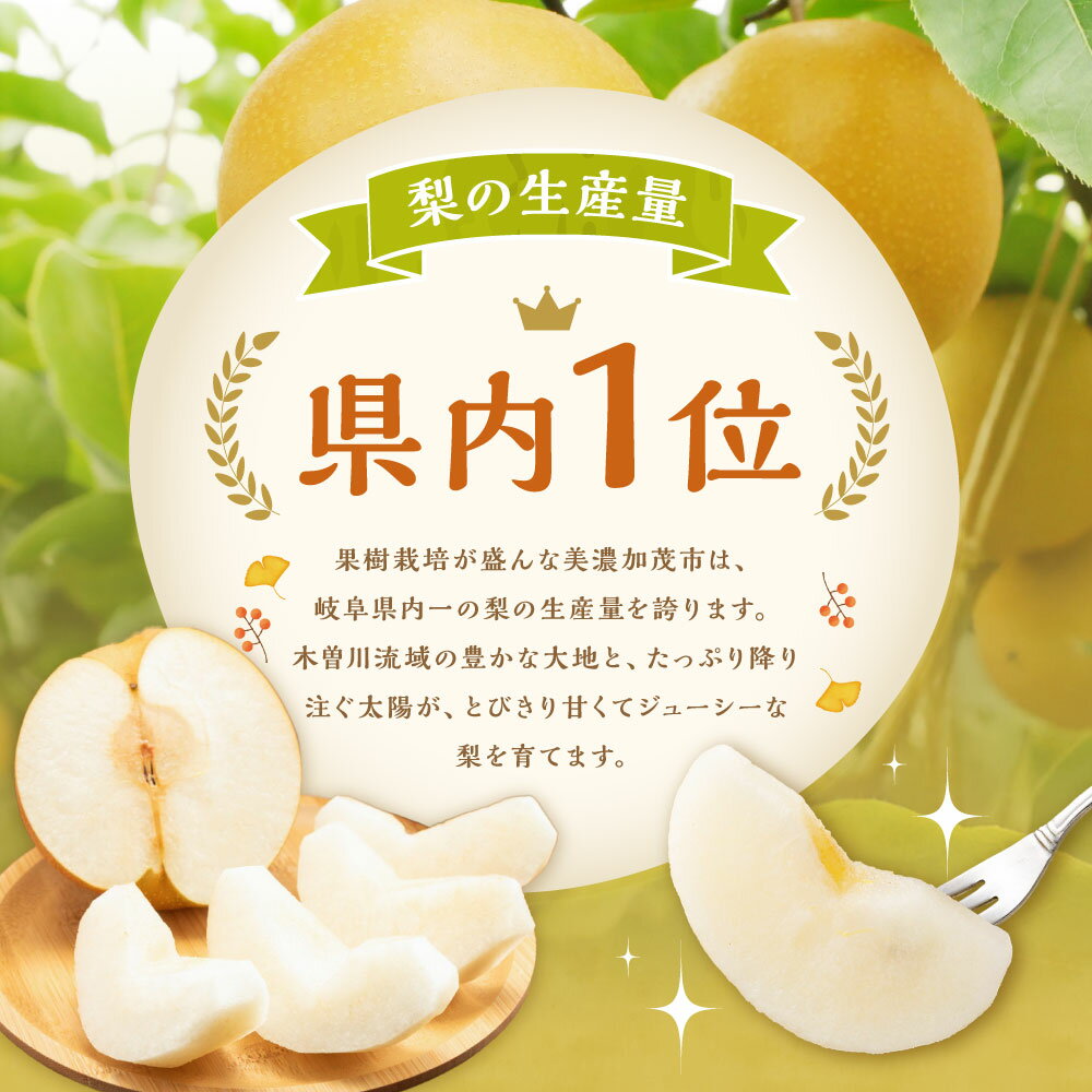 【ふるさと納税】《先行予約》「山之上果実農業協同組合」山之上の梨 幸水 1箱 約2.5kg（5～8玉） くだもの 果物 果実 フルーツ 梨 なし 冷蔵 岐阜県産 国産 岐阜県 美濃加茂市 送料無料 【2026年8月上旬～8月下旬発送予定】 - 画像3