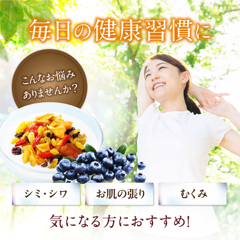 【ふるさと納税】ワイルドブルーベリー 700g セットA (ヨーグルト用ミックス)【多々楽達屋】tataratiyaドライフルーツ ポリフェノール [MAD014] サムネイル2