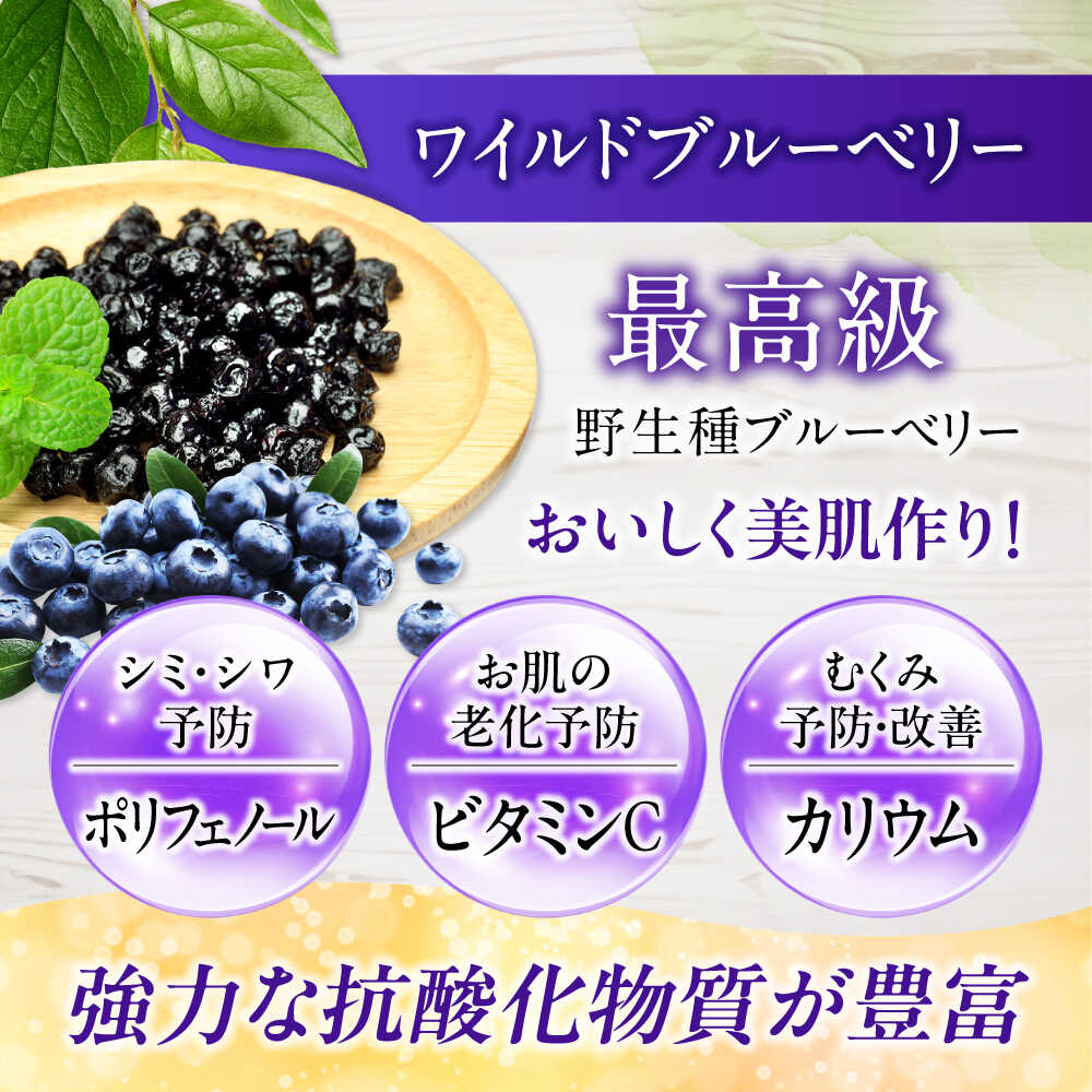 【ふるさと納税】ワイルドブルーベリー 200g セットA (ヨーグルト用ミックス、ナッツ)【多々楽達屋】tataratiya ドライフルーツ ミックスナッツ ポリフェノール [MAD033] サムネイル2