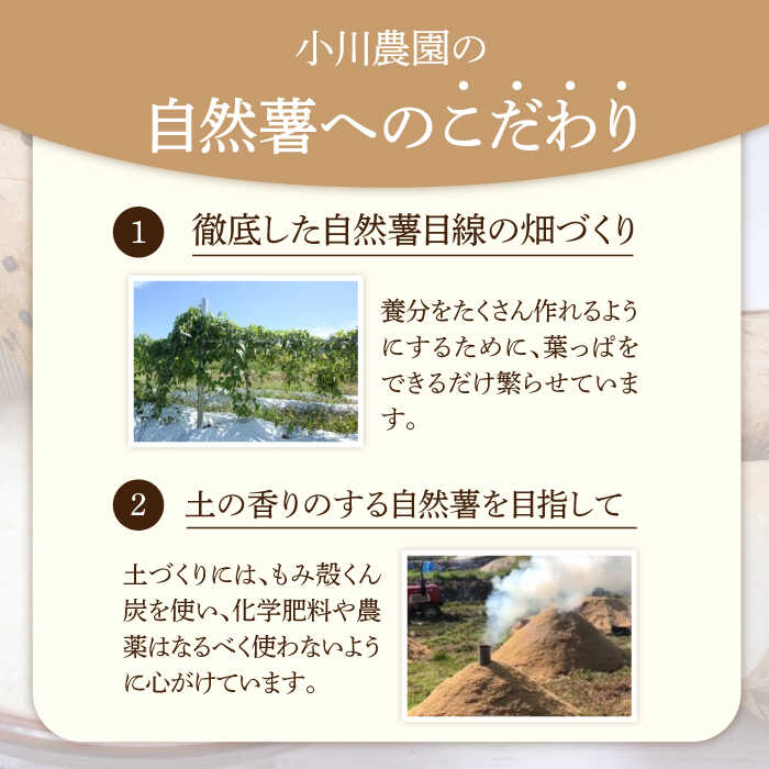 【ふるさと納税】自然薯（昇龍）1300g相当【小川農園小川屋】疲労回復 免疫力向上 産地直送 とろろ 山芋 ギフト [MAE012] - 画像2