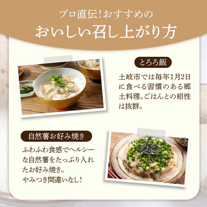 【ふるさと納税】自然薯（昇龍）1300g相当【小川農園小川屋】疲労回復 免疫力向上 産地直送 とろろ 山芋 ギフト [MAE012] - 画像3