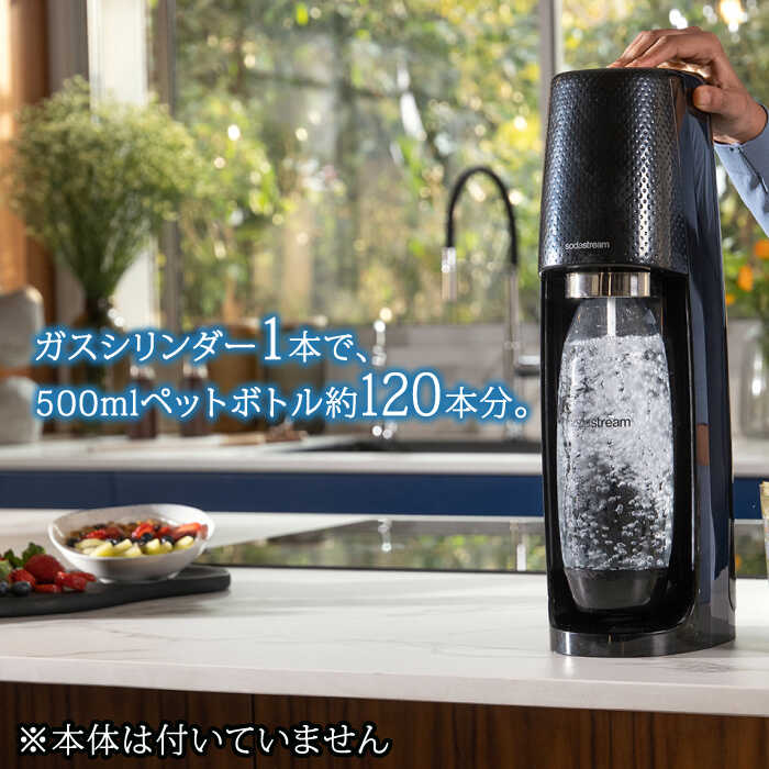 【ふるさと納税】ソーダストリーム ガスシリンダー 新規購入用 60L 2本セット 炭酸水 水 ソーダ水[MDN003] サムネイル2