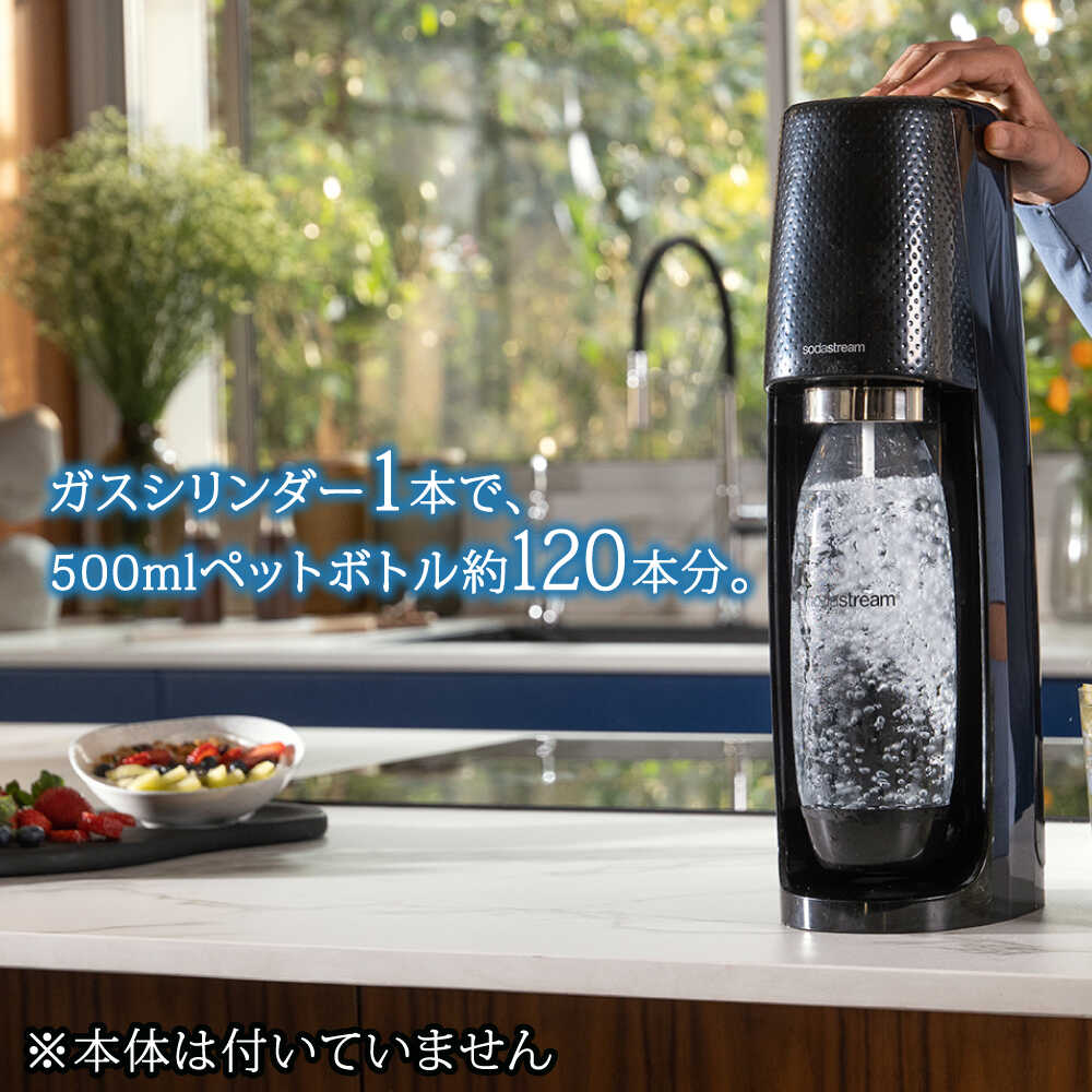 【ふるさと納税】【2本×3回定期便】ソーダストリーム ガスシリンダー交換用60L / SodaStream 炭酸水 水 ソーダ水 回収用送り状付き【ソーダストリーム】[MDN009] サムネイル2