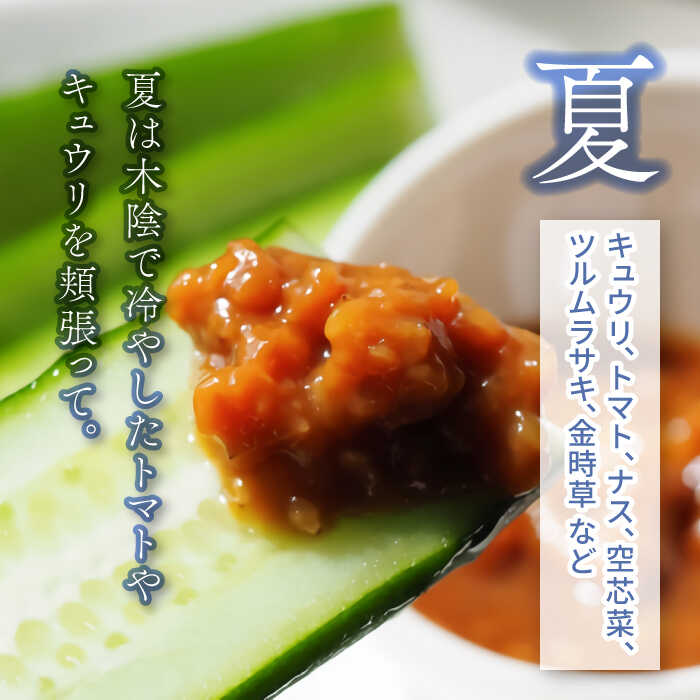 【ふるさと納税】季節の野菜BOX Sサイズ （5～6種類）【Farm Regalo】旬野菜 冷蔵 おまかせ [MDU001] - 画像3