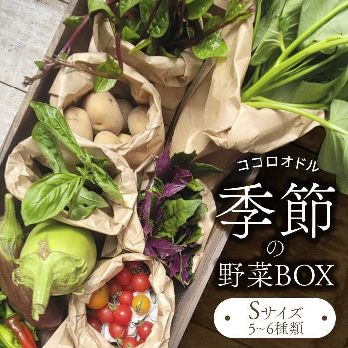 季節の野菜BOX Sサイズ （5～6種類）【Farm Regalo】旬野菜 冷蔵 おまかせ [MDU001]