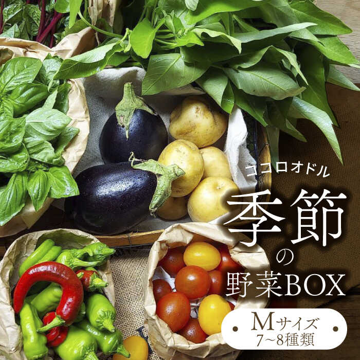 季節の野菜BOX Mサイズ （7～8種類）【Farm Regalo】旬野菜 冷蔵 おまかせ [MDU002]