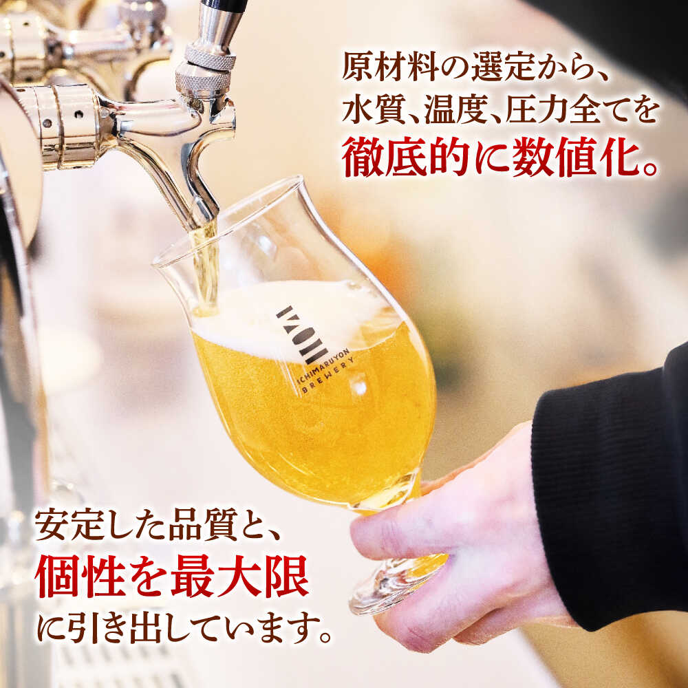 【ふるさと納税】【12回定期便】 クラフトビール 104 BREWERY 6種 飲み比べセット 330ml 全72本 【104 BREWERY】　土岐市 地ビール beer お酒[MGO004] サムネイル3