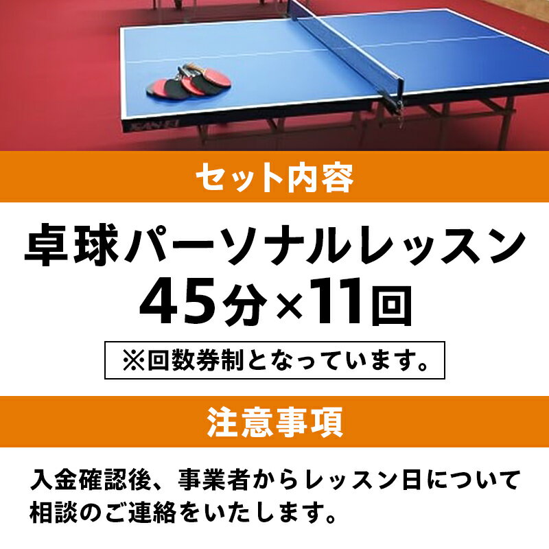 【ふるさと納税】卓球パーソナルレッスン 45分×11回 岐阜県 可児市 スポーツ レッスン 体験 回数券 パーソナル 初心者 室内 大人 子供 送料無料 サムネイル3
