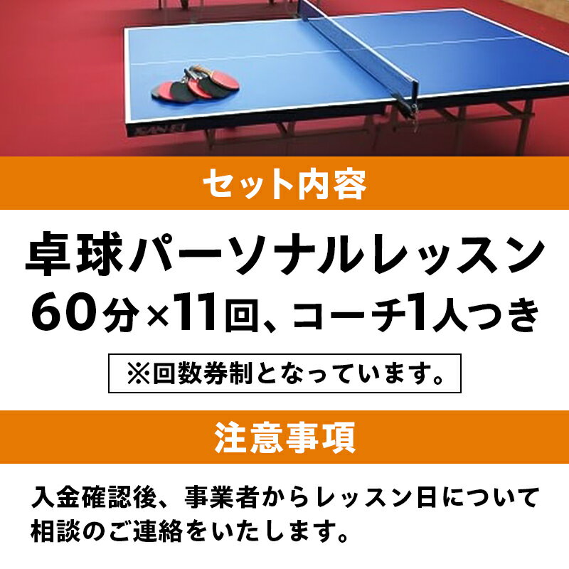 【ふるさと納税】卓球パーソナルレッスン 60分×11回 コーチ1人 岐阜県 可児市 スポーツ レッスン 体験 回数券 パーソナル 初心者 コーチ付き 室内 大人 子供 送料無料 サムネイル3