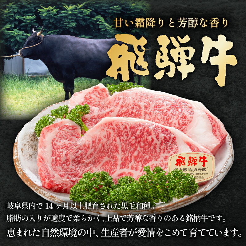 【ふるさと納税】 A5等級 選べる飛騨牛 引換券 3万円相当分 岐阜県 可児市 チケット 食品 和牛 お肉 ブランド ブランド牛 牛肉 霜降り グルメ券 ギフト券 プレゼント 贈り物 ギフト お取り寄せ 送料無料 サムネイル3