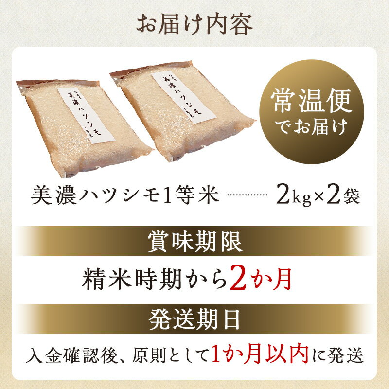 【ふるさと納税】2025年産米　美濃ハツシモ　1等米4kg（2kg×2袋） 岐阜県 可児市 お米 米 ハシツモ あっさり 自家製米 国産 ごはん おにぎり 白米 精米 品種 お取り寄せ グルメ 送料無料 - 画像3