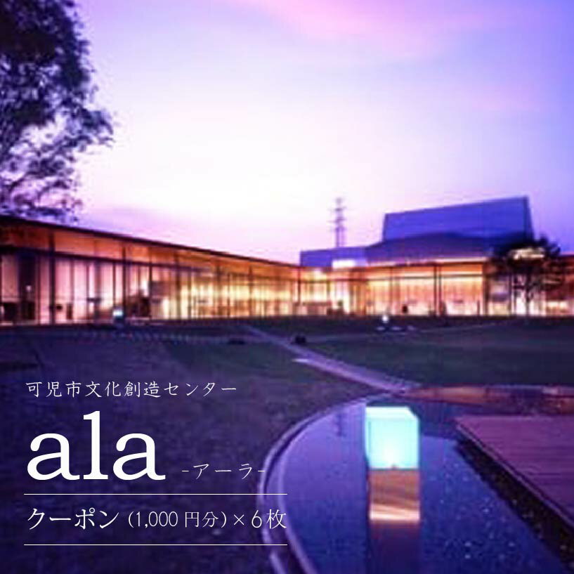 アーラクーポン（6枚）