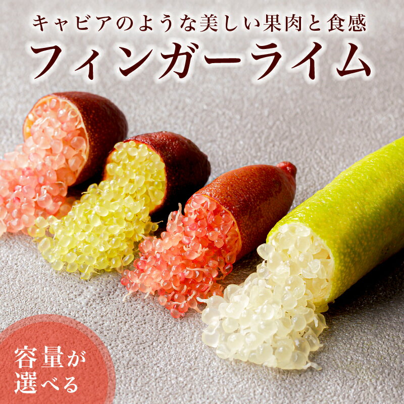 【容量が選べる】フィンガーライム 岐阜県 可児市 果物 果実 新時代フルーツ 国産 キャビアライム 森のキャビア フルーツキャビア ブッシュキャビア 希少 柑橘 カルパッチョ ローストビーフ アイス カクテル 炭酸 トッピング 送料無料