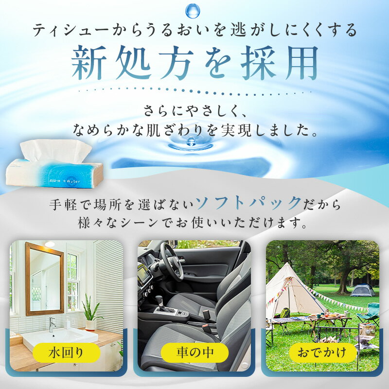 【ふるさと納税】【個数が選べる】エリエール +Water プラスウォーター ソフトパックティシュー 120W 5パック ハーフサイズ ソフトパックティッシュ ティッシュ ソフトパック ティッシュペーパー 箱なし 日用品 新生活 備蓄 防災 消耗品 生活雑貨 生活用品 パルプ100％ サムネイル2