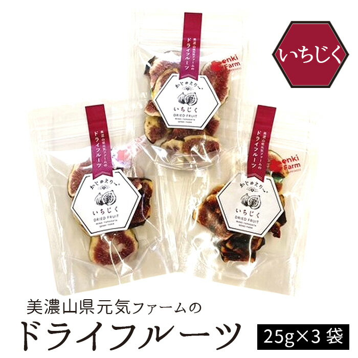 美濃山県元気ファームのドライフルーツかじゅえりー　いちじく [No.1101] ／ 国産 ドライフルーツ 美容 果物 イチジク 送料無料 岐阜県