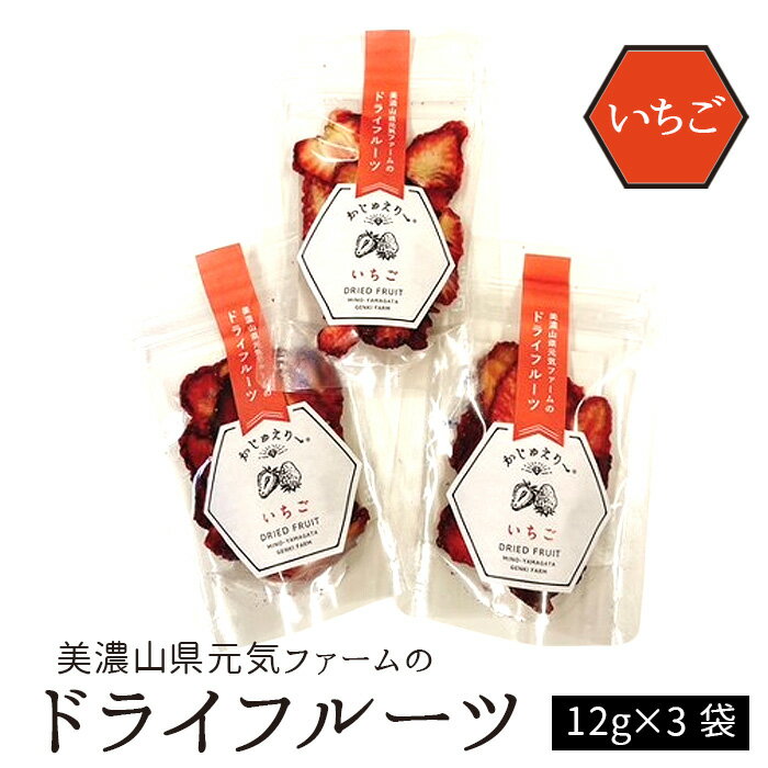 美濃山県元気ファームのドライフルーツかじゅえりー　いちご [No.1102] ／ 紅ほっぺ 甘味 苺 イチゴ ドライフルーツ 送料無料 岐阜県