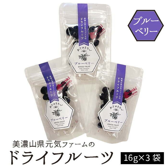 美濃山県元気ファームのドライフルーツかじゅえりー　ブルーベリー [No.1103] ／ セミドライ 果汁 甘い 濃厚な味わい 果物 送料無料 岐阜県