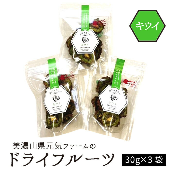美濃山県元気ファームのドライフルーツかじゅえりー　キウイ [No.1104] ／ フルーツ 国産 果物 送料無料 岐阜県