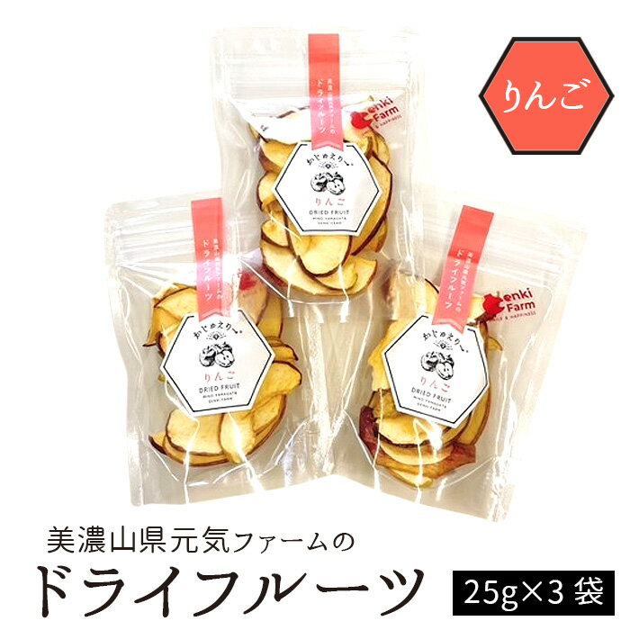 美濃山県元気ファームのドライフルーツかじゅえりー　りんご [No.1105] ／ 糖度 リンゴ 林檎 フルーツ 果物 送料無料 岐阜県