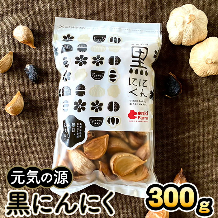 元気の源　黒にんにく　300g [No.499] ／ ニンニク 国産 醗酵 熟成 健康 栄養 美容 特産 送料無料 岐阜県