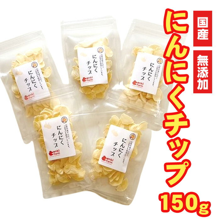 にんにくチップ 国産 無添加 150g [No.659] ／ ニンニク 送料無料 岐阜県