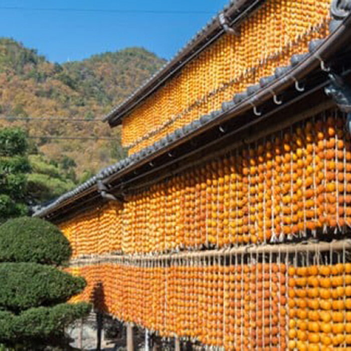 【ふるさと納税】［L30］岐阜県の伝統野菜『伊自良大実柿』から作る干し柿『伊自良連柿』Lサイズ計30個 [No.945] ／ 干柿 手作り 果物 送料無料 岐阜県 特産 サムネイル2