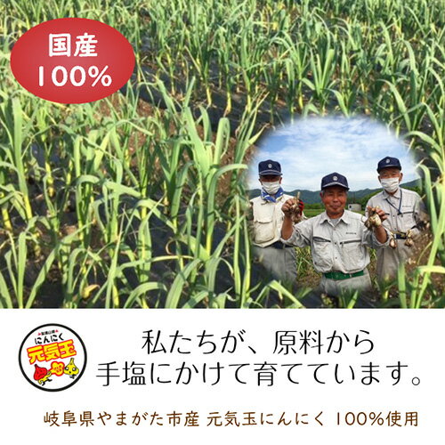 【ふるさと納税】にんにくチップ 国産 無添加 150g [No.659] ／ ニンニク 送料無料 岐阜県 - 画像3