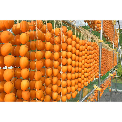 【ふるさと納税】伊自良の高級干し柿 3種食べ比べセット 約630g [No.725] ／ 柿 かき 果物 百目柿 蜂屋柿 伊自良大実柿 贈答品 ギフト 送料無料 岐阜県 サムネイル2