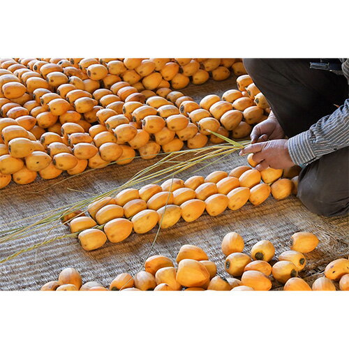 【ふるさと納税】伊自良の高級干し柿 3種食べ比べセット 約630g [No.725] ／ 柿 かき 果物 百目柿 蜂屋柿 伊自良大実柿 贈答品 ギフト 送料無料 岐阜県 サムネイル3