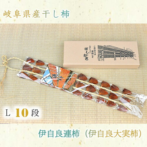 岐阜県産干し柿 伊自良連柿（伊自良大実柿）L 10段 約1.25kg [No.726] ／ 柿 かき 果物 贈答品 ギフト 送料無料 岐阜県